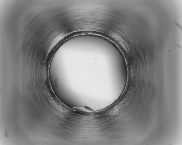 X0000095521069200712281455