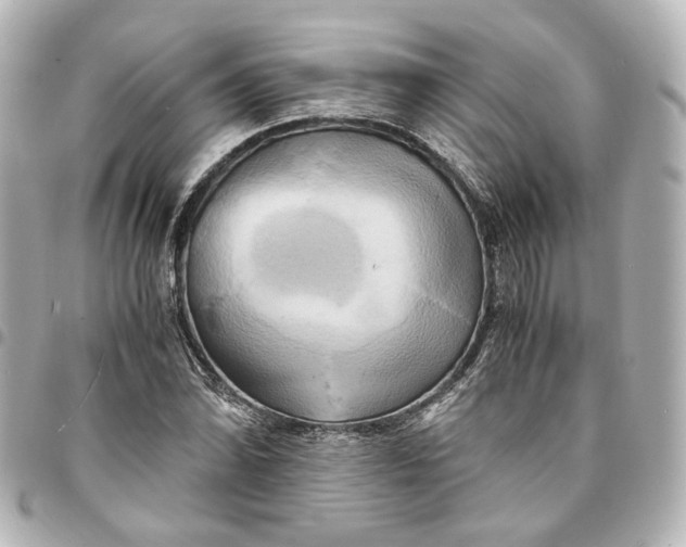 X0000095521070200712281455