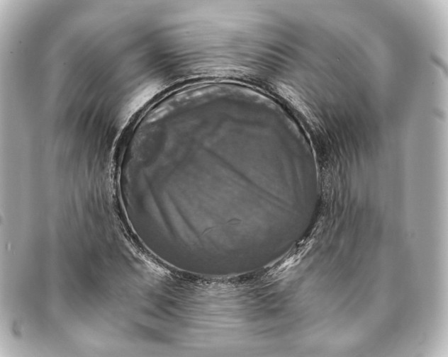 X0000095521071200712281455