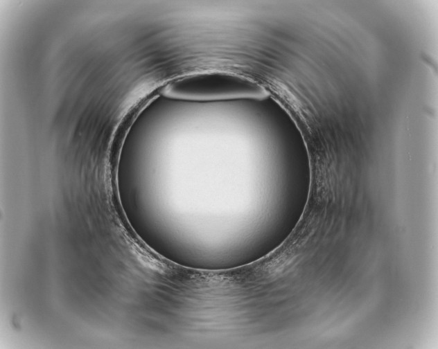 X0000095521072200712281455