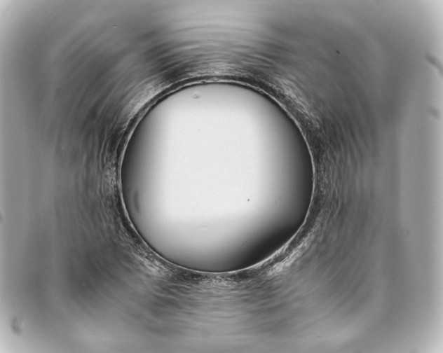 X0000095521073200712281455