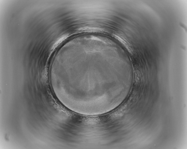 X0000095521074200712281455