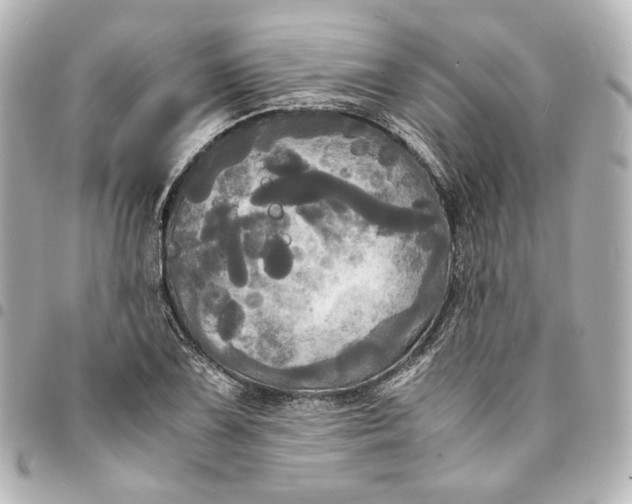 X0000095521075200712281455