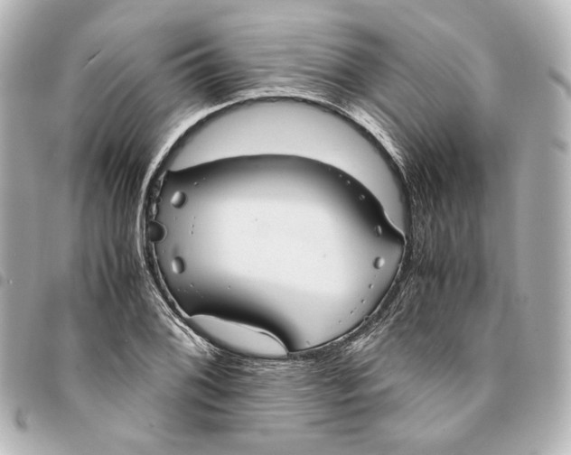 X0000095521076200712281455