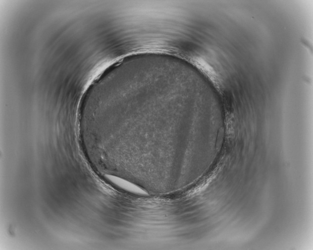 X0000095521077200712281455