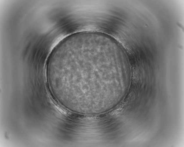 X0000095521078200712281455