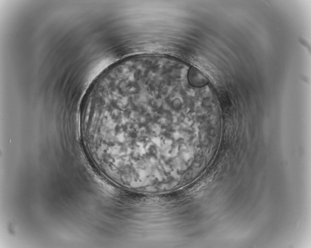 X0000095521079200712281455