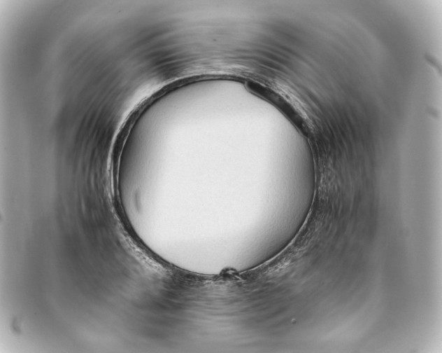 X0000095521080200712281455