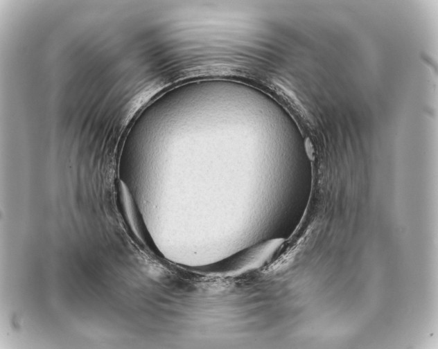 X0000095521081200712281455