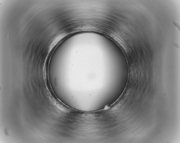 X0000095521082200712281455