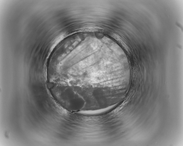 X0000095521083200712281455