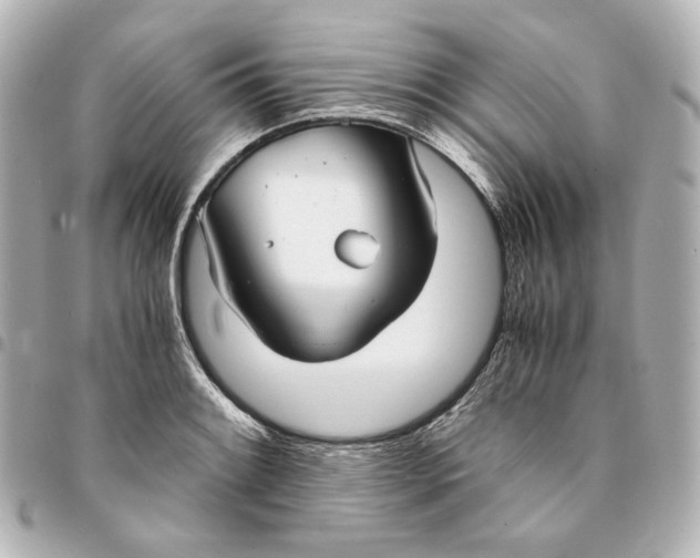 X0000095521084200712281455