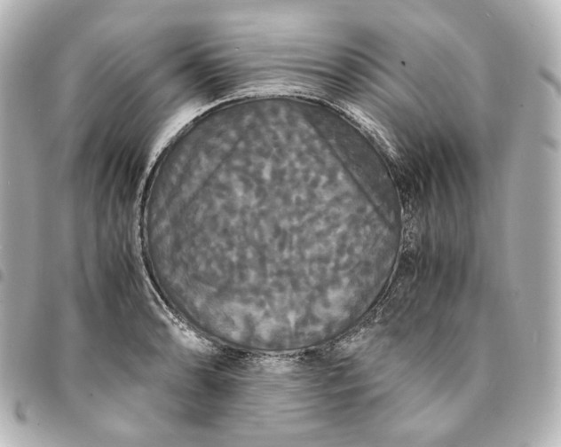 X0000095521086200712281455