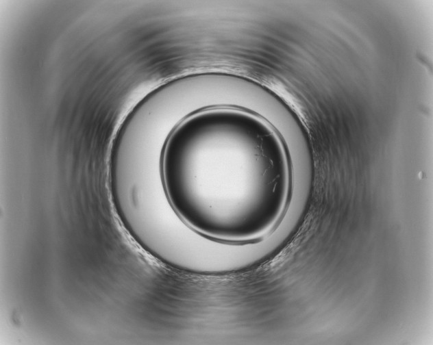 X0000095521088200712281455