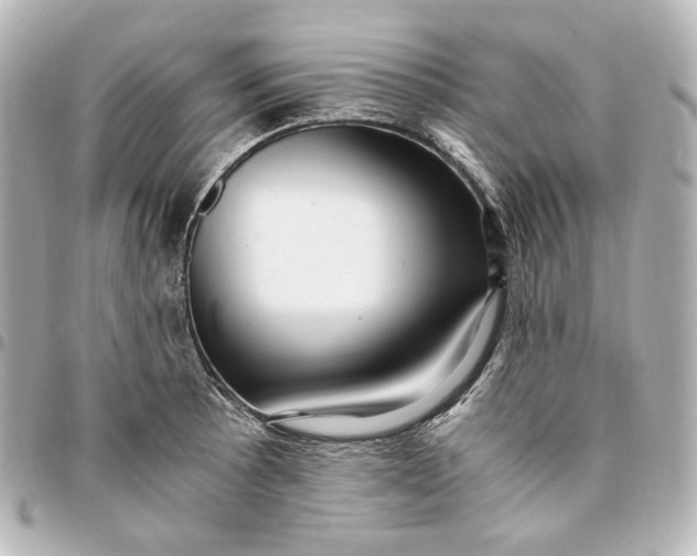 X0000095521089200712281455