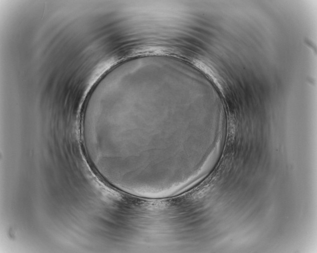 X0000095521090200712281455