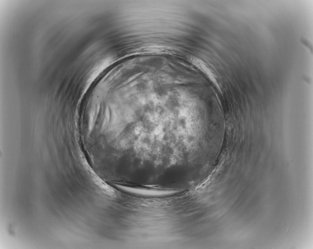 X0000095521091200712281455