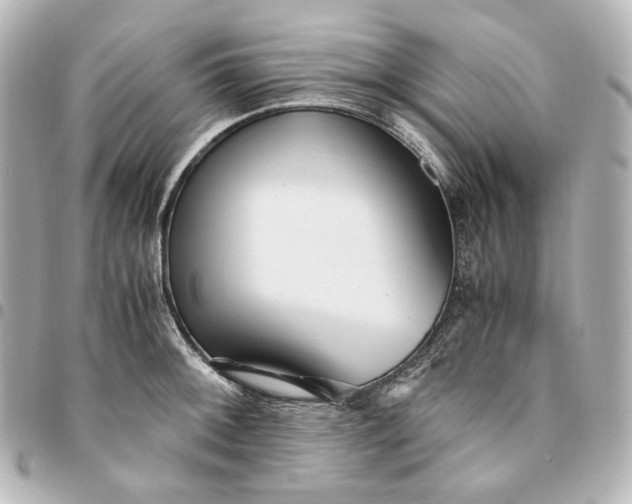 X0000095521092200712281455