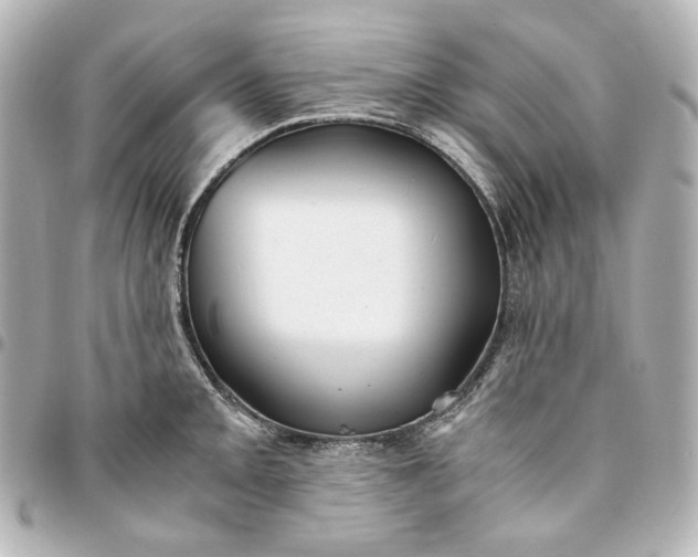 X0000095521093200712281455