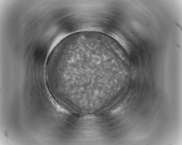 X0000095521094200712281455