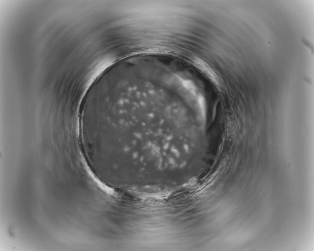 X0000095521095200712281455