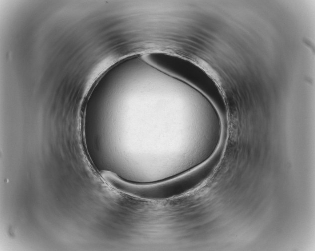 X0000095521096200712281455