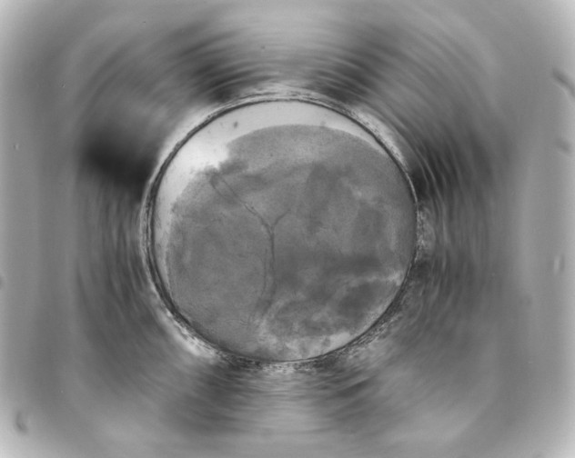 X0000095521098200712281454