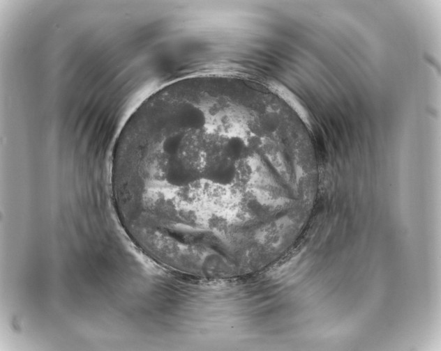 X0000095521099200712281454