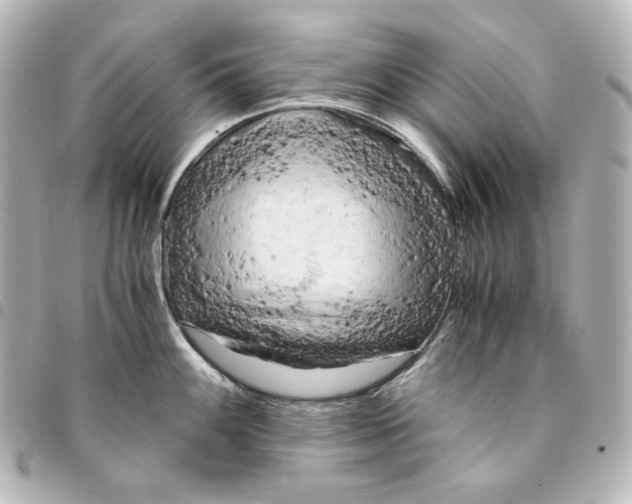 X0000095521100200712281454