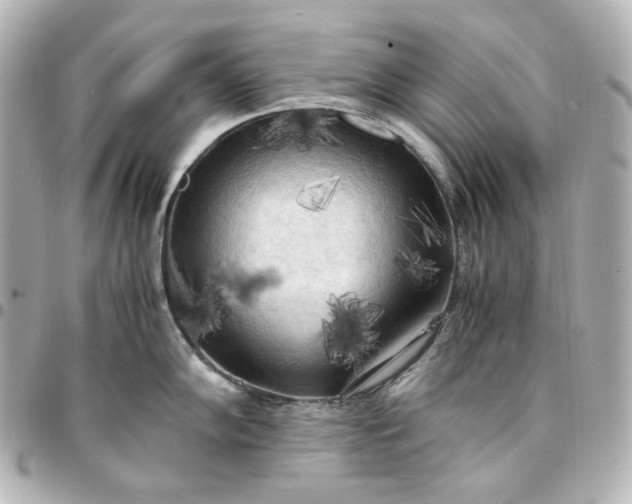 X0000095521102200712281454