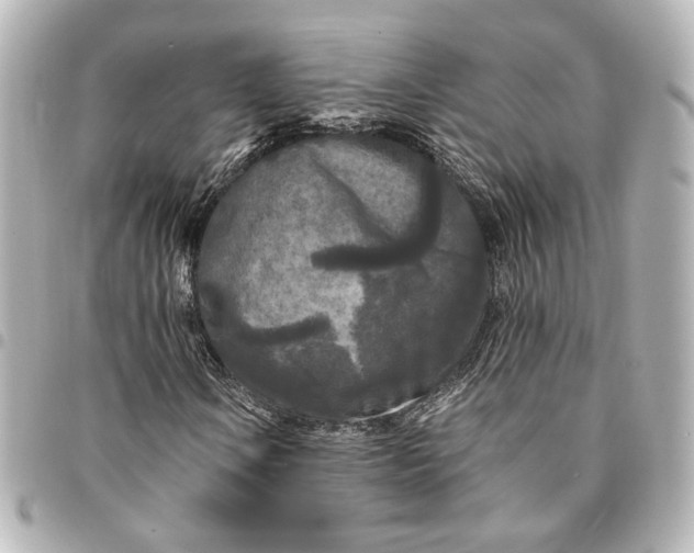 X0000095521106200712281454