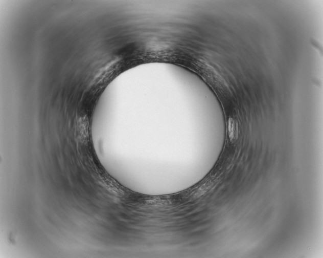 X0000095521107200712281454