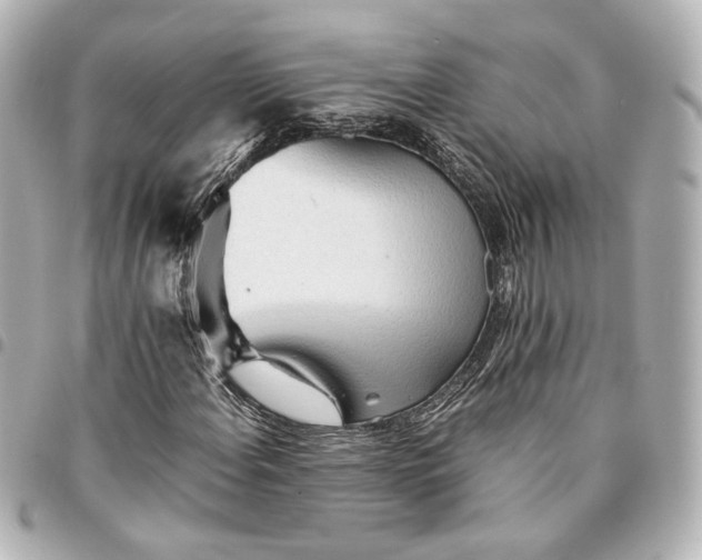 X0000095521108200712281454