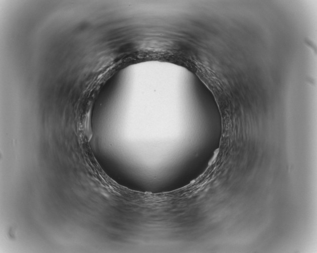 X0000095521109200712281454