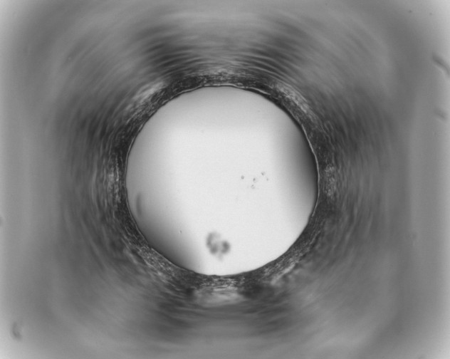 X0000095521111200712281454