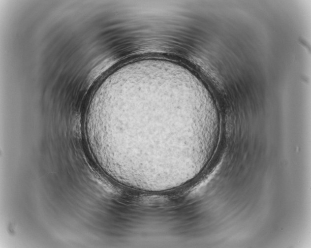 X0000095521113200712281454