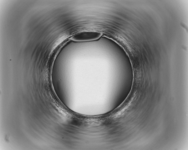 X0000095521114200712281454