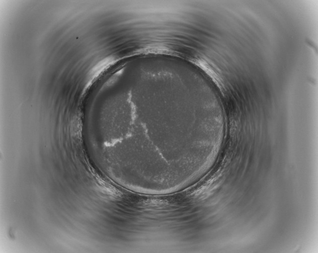 X0000095521115200712281454