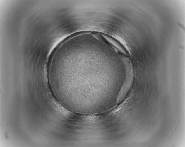 X0000095521120200712281454