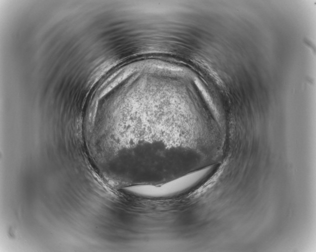 X0000095521121200712281454