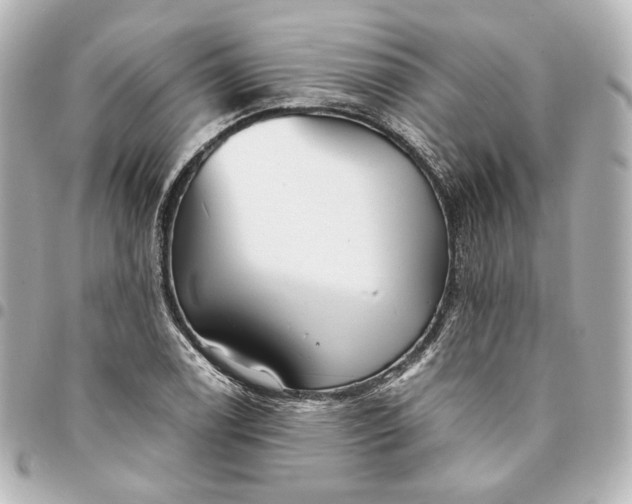 X0000095521122200712281454