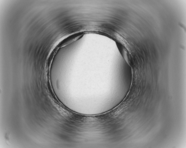 X0000095521124200712281454