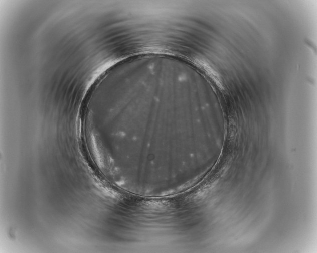 X0000095521125200712281454