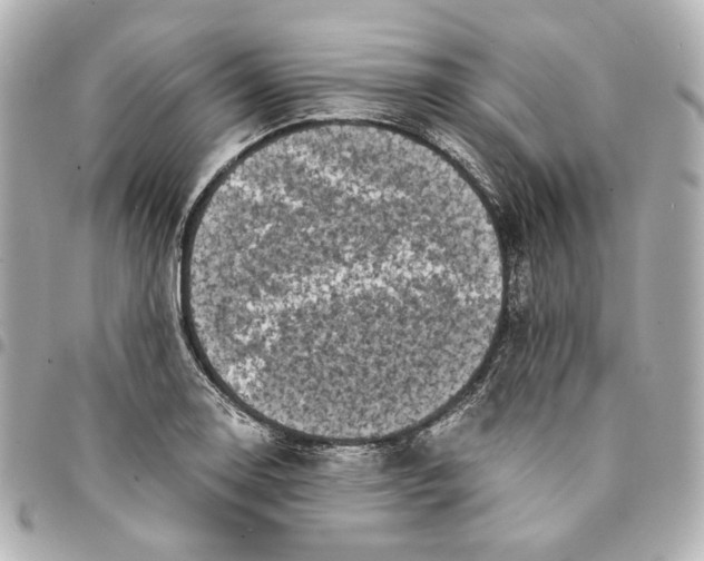 X0000095521130200712281454