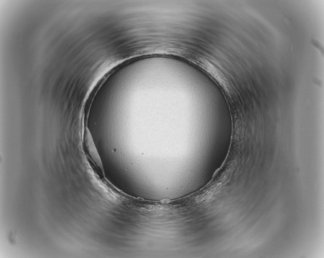 X0000095521132200712281454