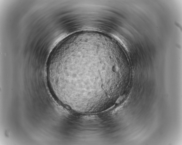 X0000095521133200712281454