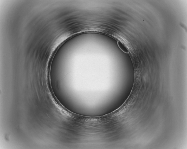 X0000095521135200712281454