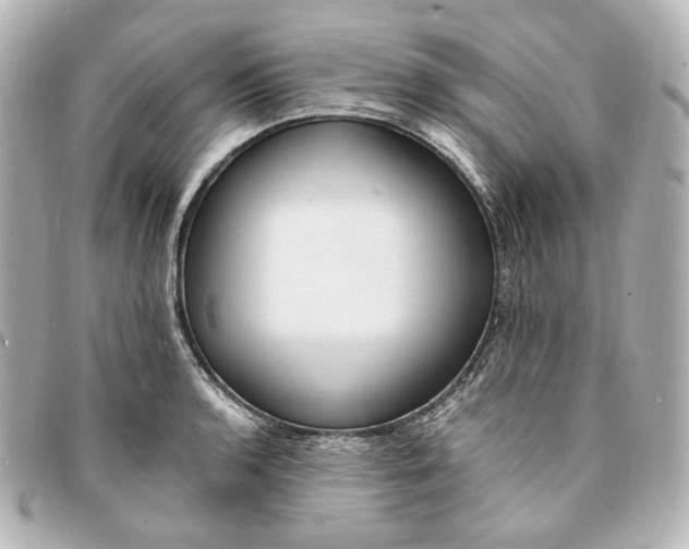 X0000095521136200712281454