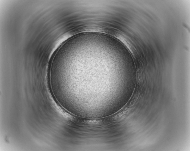 X0000095521139200712281454