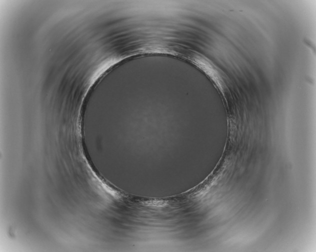 X0000095521141200712281454